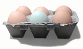 huevos.jpg