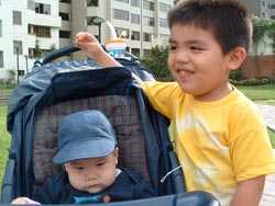 Imagen 0/1